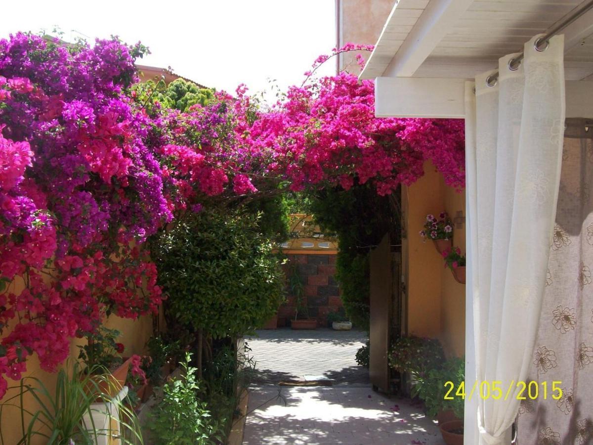 Domos Le Due Tuie Bed & Breakfast Piscinas Exterior photo